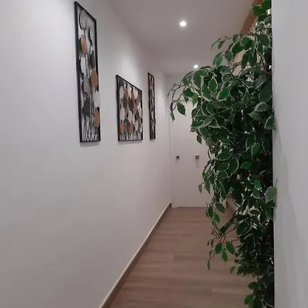 Apartman Vive El Renacimiento: Cazuela